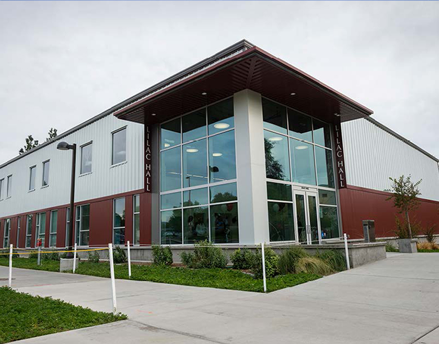 California State University