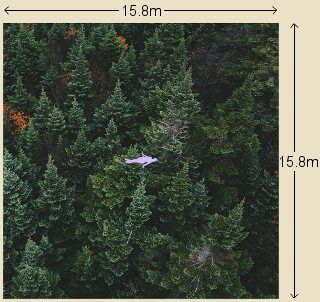 15-meter-squared-area-of-trees