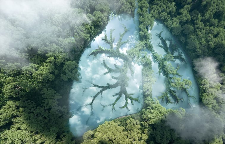 trees-making-the-shape-of-lungs